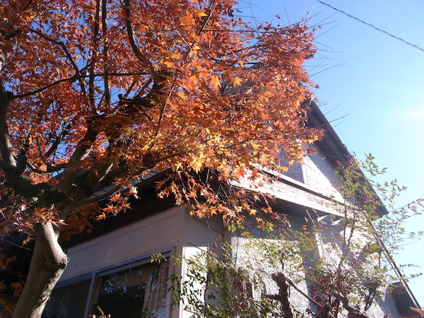 こりゃー可愛くなる！っていうリノベポテンシャル、ビシビシ感じます。