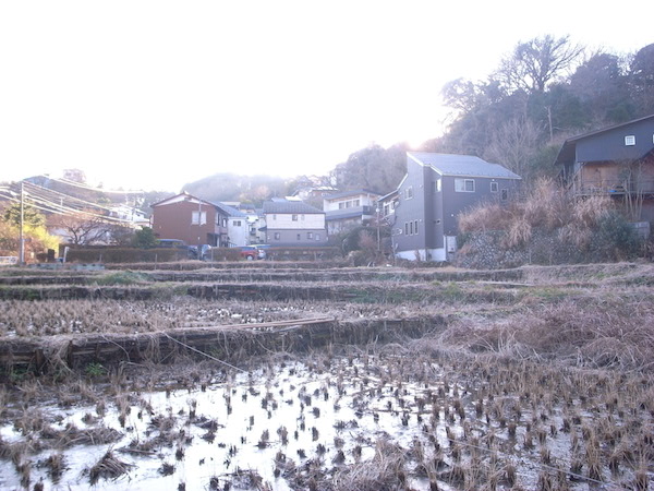 ご近所の田園。夕暮れ時、とくにキュンと来ます…