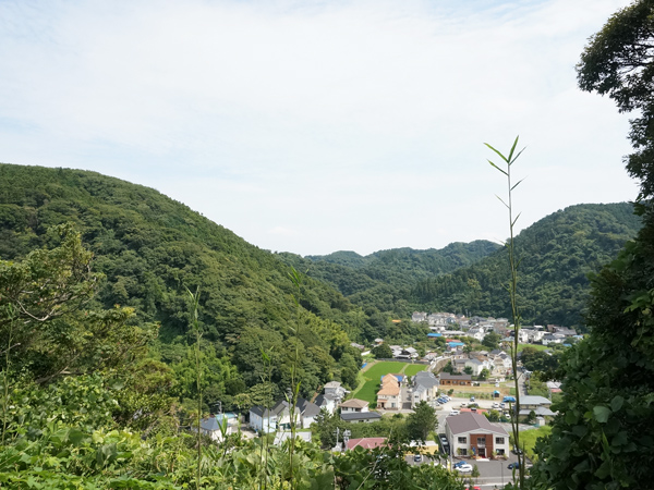 物件南側のお庭から見えるのは…この緑眺望！壮観。