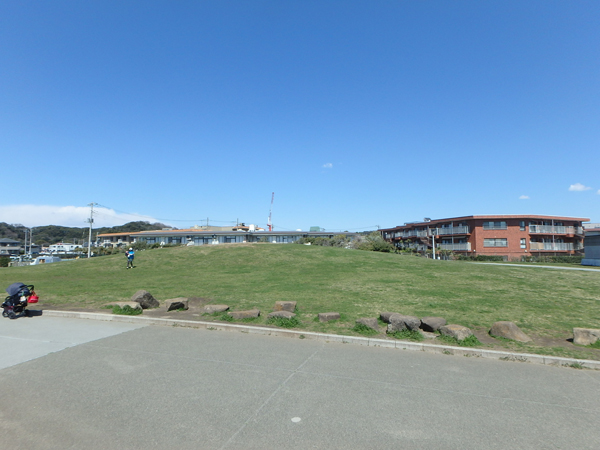 鎌倉海浜公園から。緑が綺麗な芝生から物件見えてます。