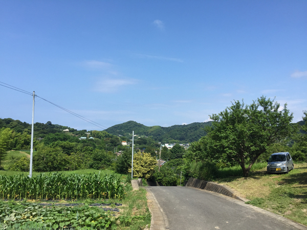 心まできれいになりそうな山々の眺望。