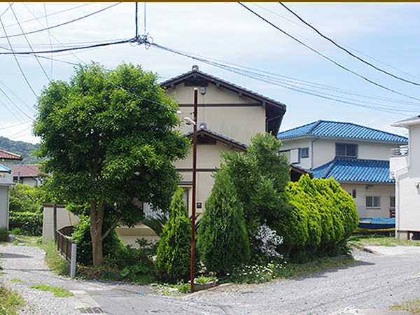 敷地と緑が形が相まって、なんとも愛らしい