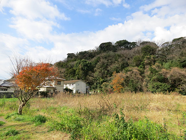 敷地面積約510坪。現在は菜園として使用されています。