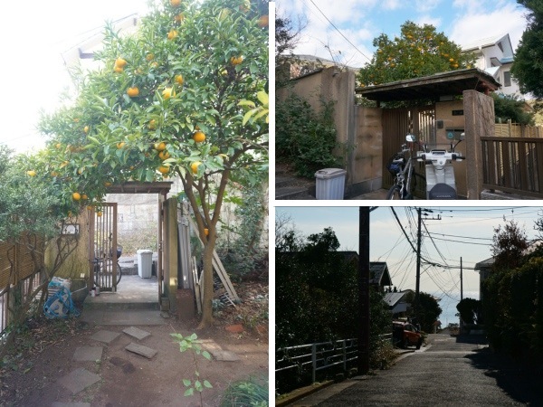 格子扉の玄関。元気なオレンジ色の甘夏みかんがお出迎え。右下は駅まで歩く途中。たっぷり水平線！