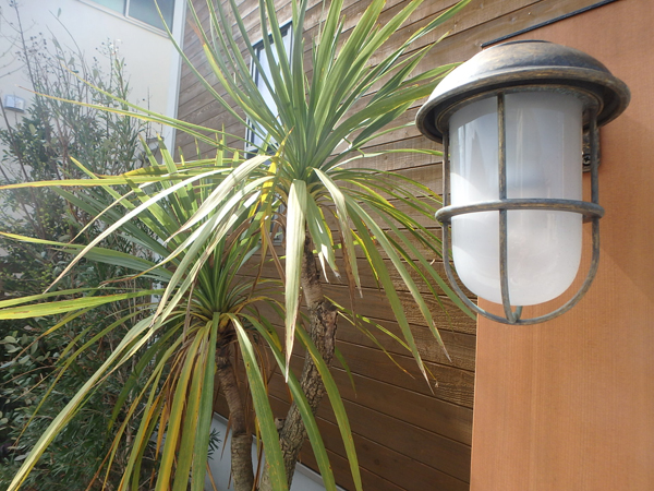 全戸に船舶ランプと海っぽさ満点の植栽付き！