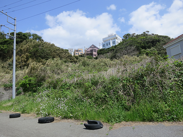 敷地面積約636坪。もやはどこまで敷地かわからない。。。
