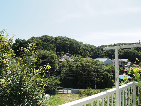 のんびりした癒しに眺め