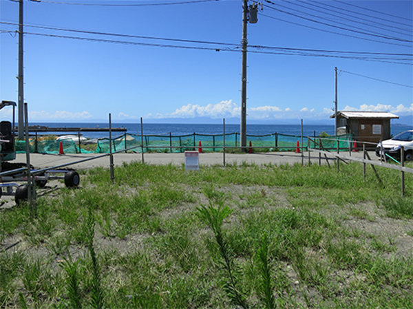 海しか見えない。贅沢〜。