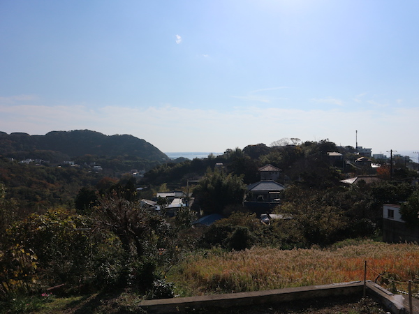 どーん！山の緑とその先に海見えます！