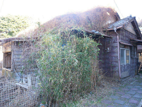 どひゃー！ぼろっぼろ平屋の登場！