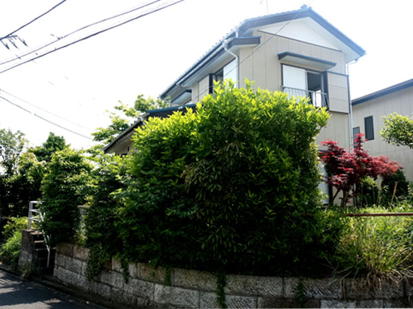 角地に建つ、緑もりもりの一戸建て