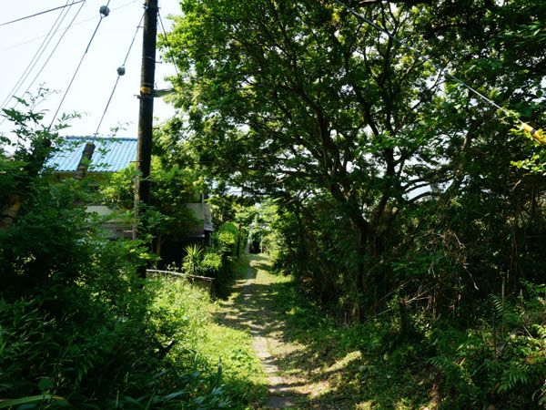 実際色々とすごいです。ここまでのアプローチとか上がる