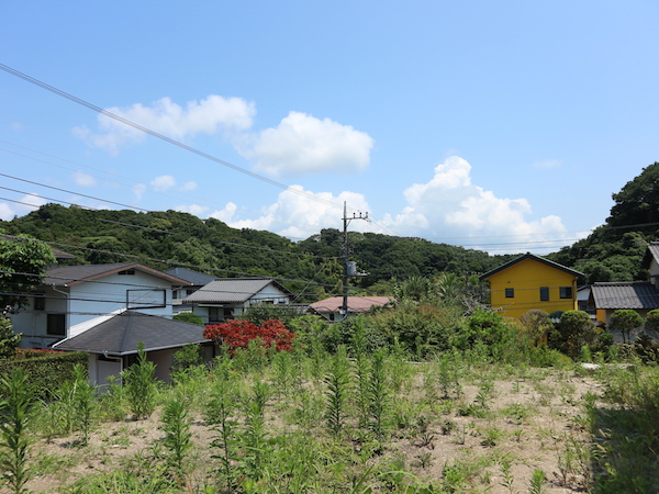 敷地から見えるビュー。緑がたくさん、そして空が広い！