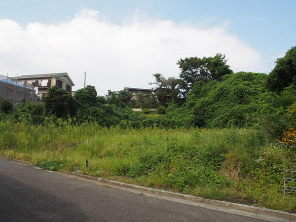 向かって左側が対象地。