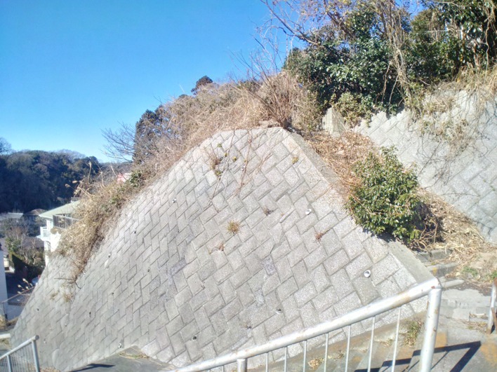 この高さまでくれば、遮るものは・・・ない