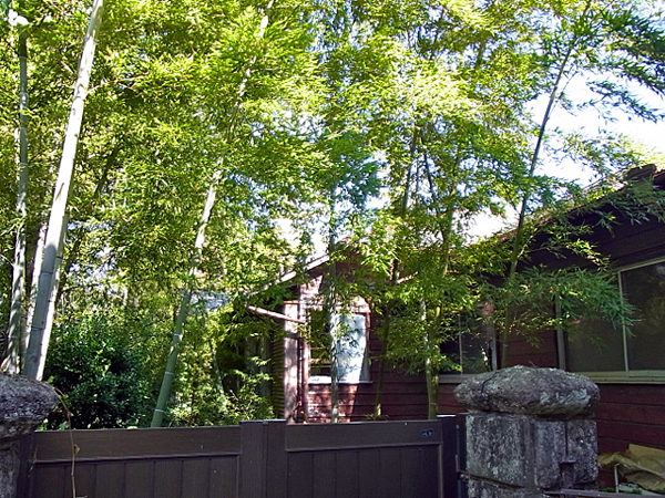 平屋外観。