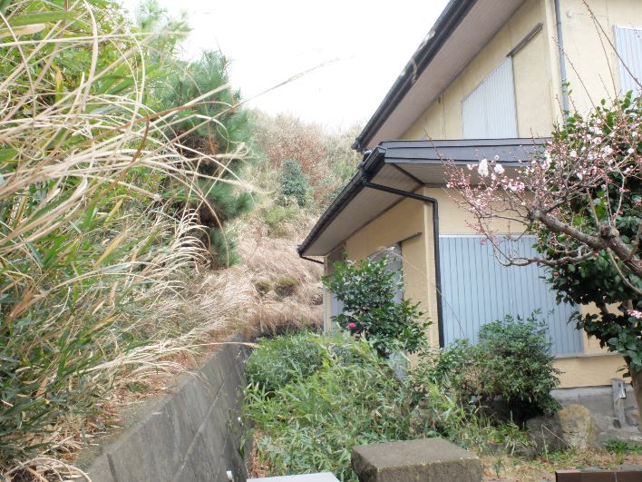 小高い丘に面した南間口の広い古家。カリフォルニアテイストのリノベを施したい。