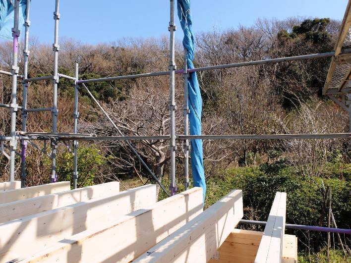目の前がパークビュー。プライベート感のある公園があります。新芽が楽しみな季節です。