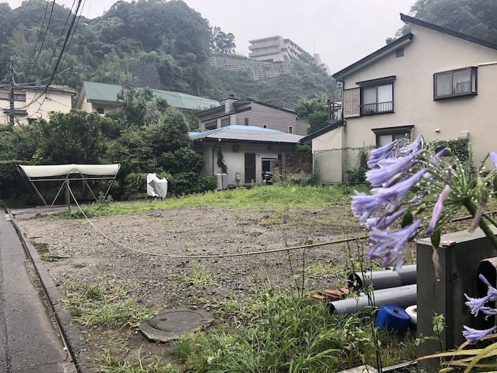 釣鐘水仙の花言葉は「不変/恋の呼びかけ」など。是非ともこの立地に変わらぬ愛を。
