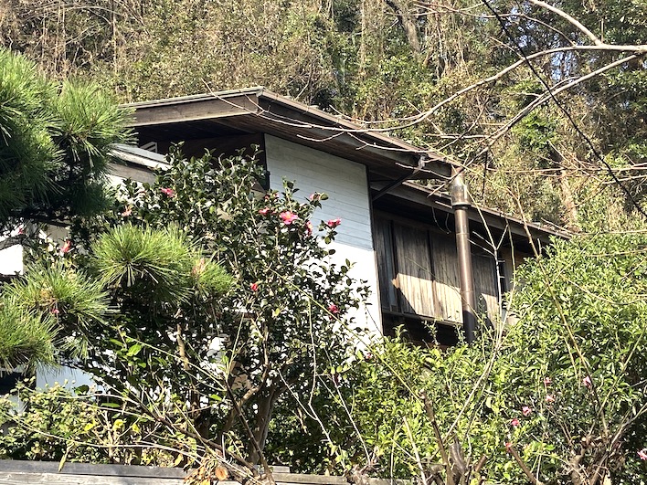 物件自体、緑に覆われておりまるで隠れ家です。