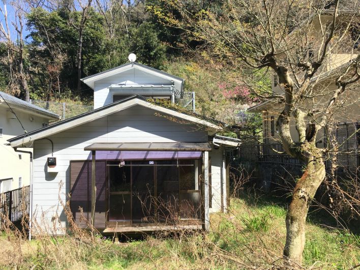 大きな三角屋根にちょこんとのった小さな２階付きのタイニー。広い庭には梅の木が。