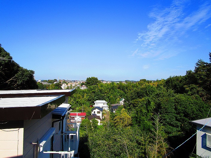 出窓からの贅沢な眺望。聞こえてくる鳥の囀りとこの景色に癒されます。