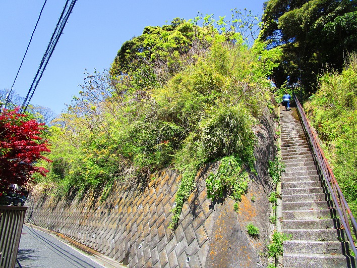 横の階段からもわかるように、なかなかの斜面である。