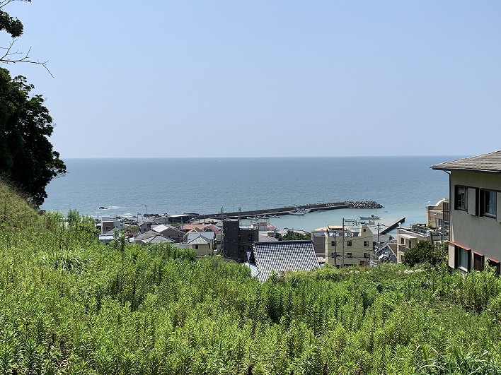 ほれぼれする水平線が見えます