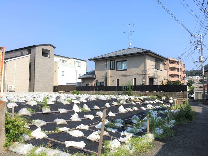 土地が大きいので空も大きく見えます。道路から一段上がった土地です。
