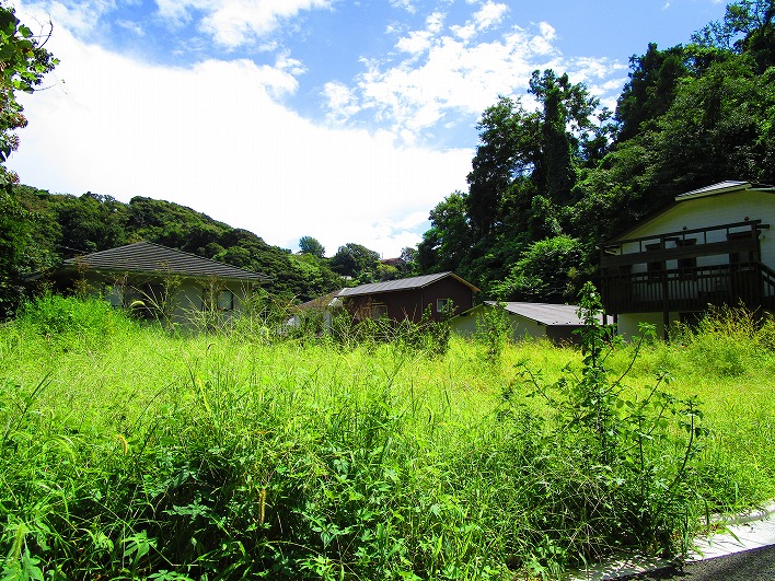 稲村ガ崎4丁目の奥。森に囲まれた土地。