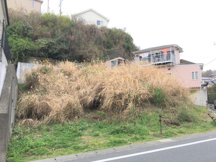 ブッシュが鬱蒼としておりますが切り払えば開放的な土地が見えてきます。
