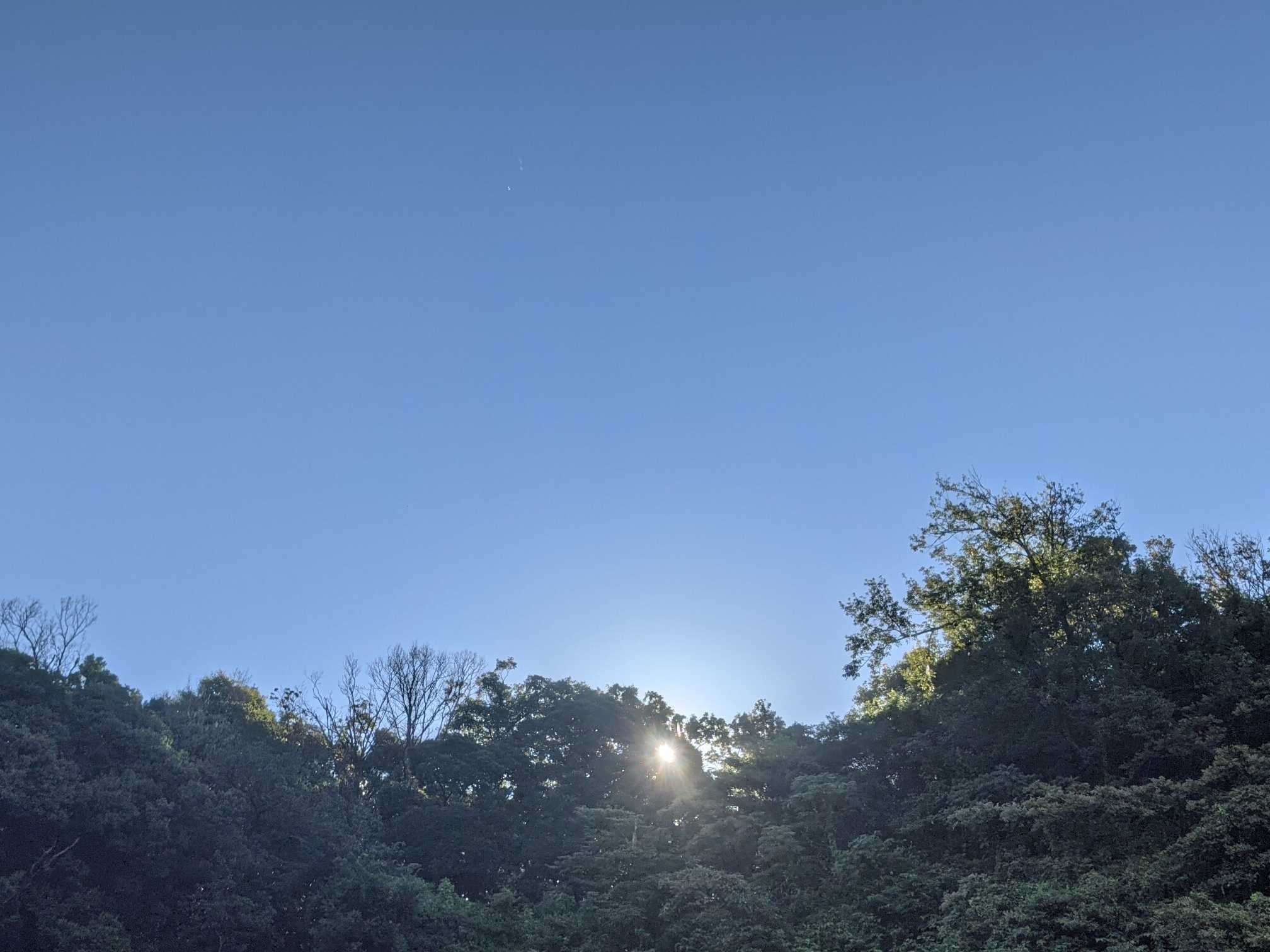 目覚めの気持ちい朝日が待ってます