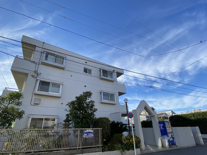 緑と空と白い壁が合いますね～