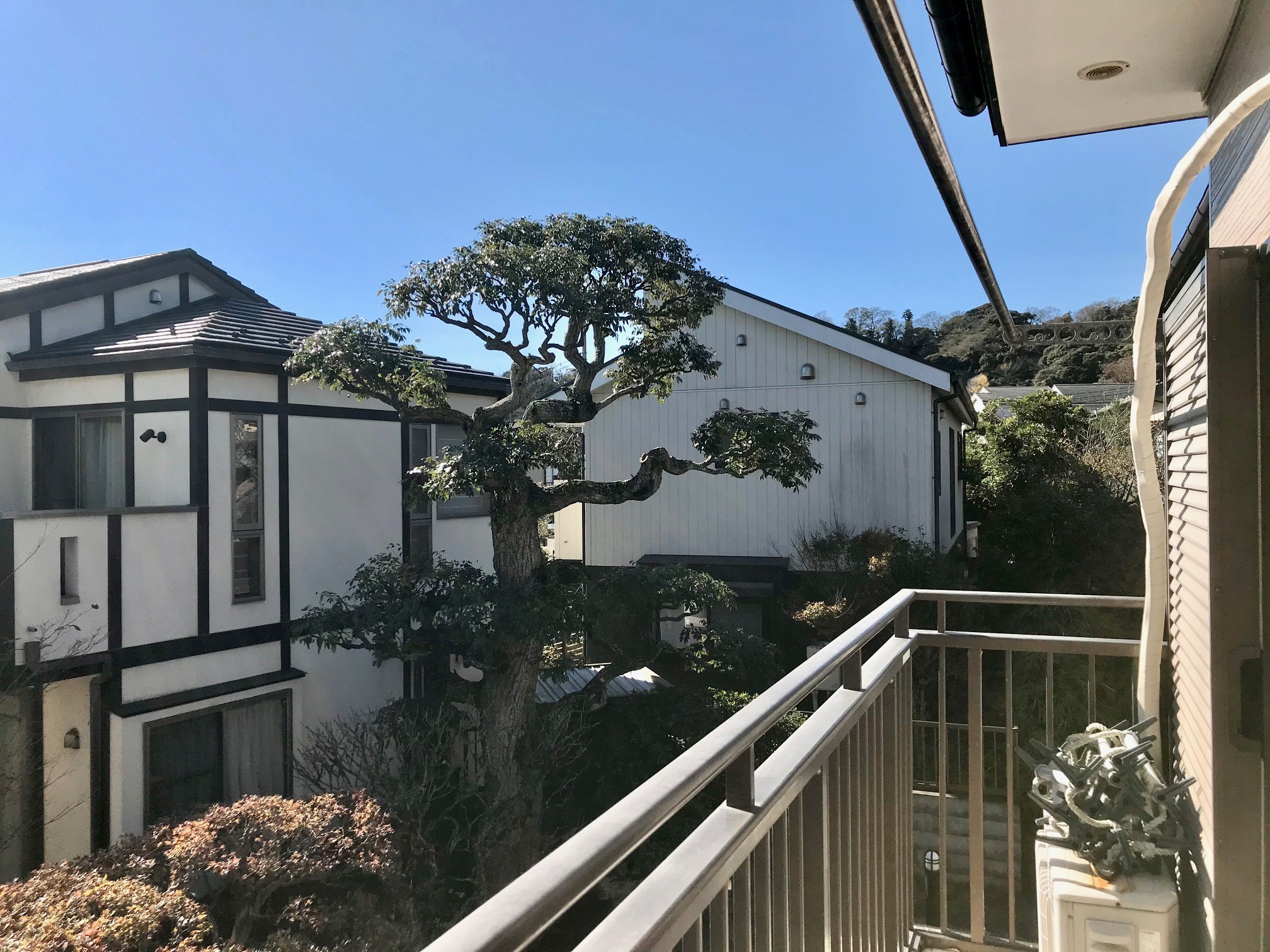 日当たり良く、長谷の山も見えるごきげんな部屋。