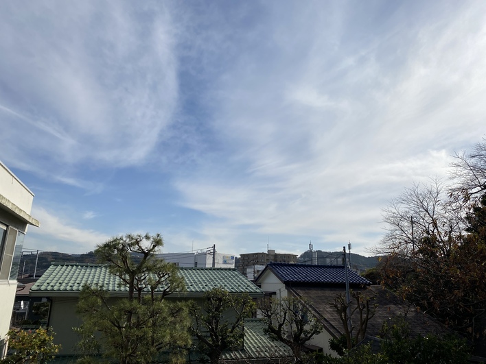 目の前が横のお家の庭なので遮るものは、一切なーい！