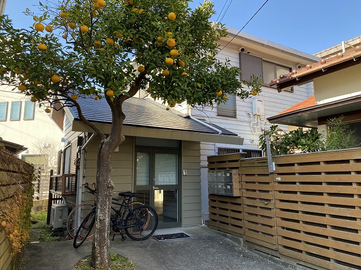 葉山のミカンの木が迎えてくれる元診療所