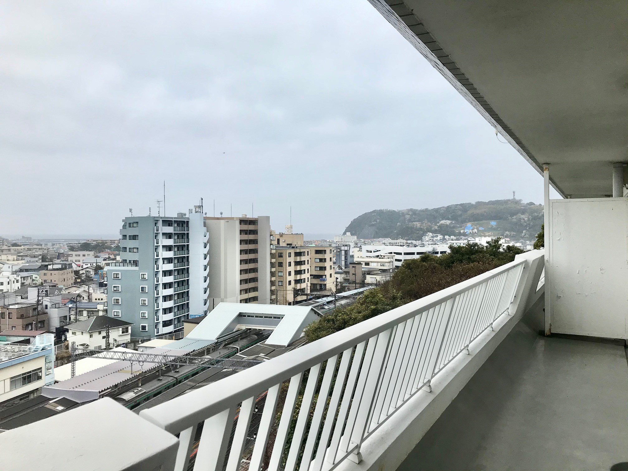逗子海岸やたっぷりの山の緑を遠望できる。ナイスビュー！
