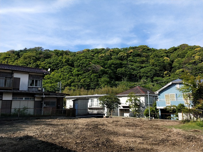 緑のカラーバリエーションが豊かな一色台の新緑！