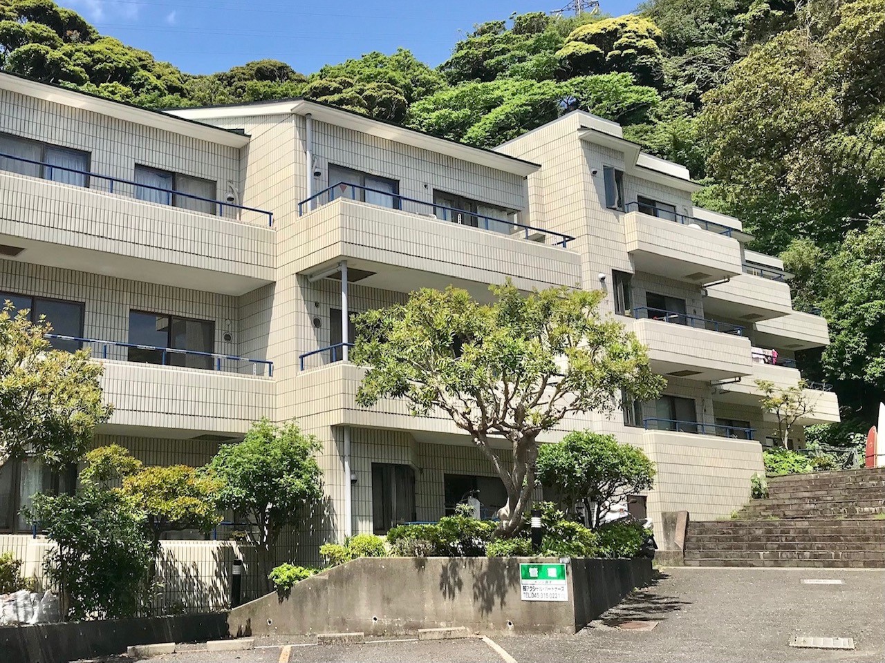 マンション周辺は新緑のグリーンがたっぷり。