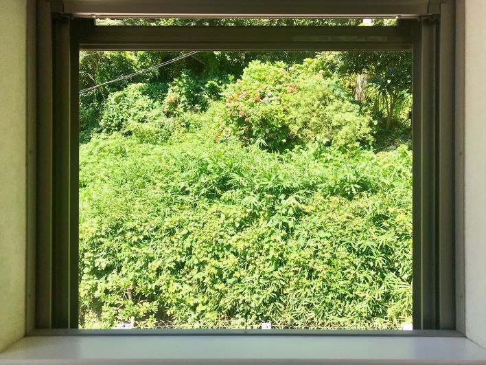2階の部屋の小窓からは裏山の緑。紫陽花も咲きますよ！