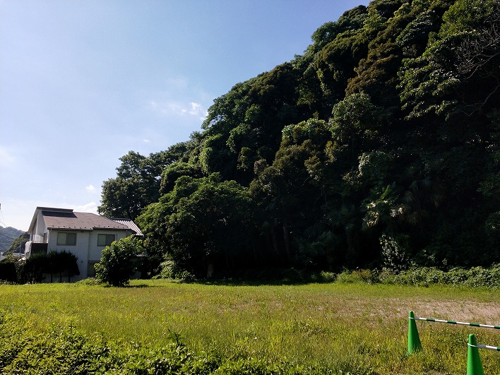 圧倒的な緑の量！この景色を窓から眺めたい。