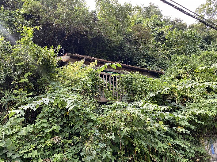 斜面の真ん中あたりに少し屋根が見えているのが物件