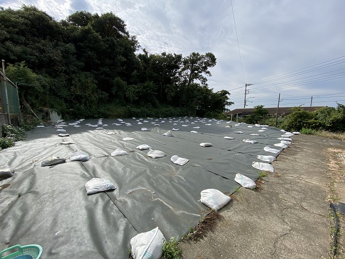 約128坪の土地。画像からは富士山が確認できないのが残念。