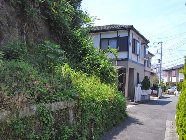緑に囲まれ、静かな住宅街