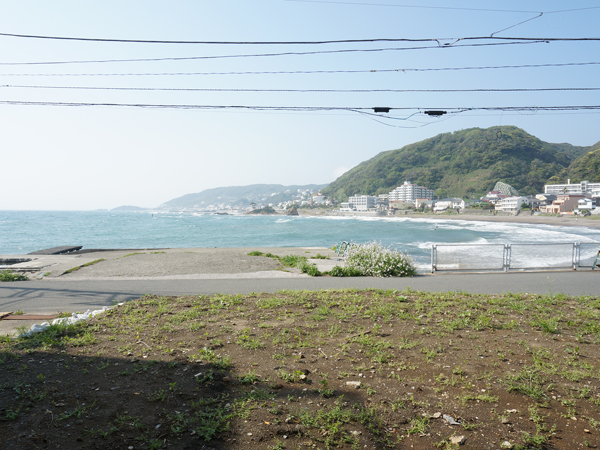 敷地内から撮影。秋谷の海、ドーーーン！