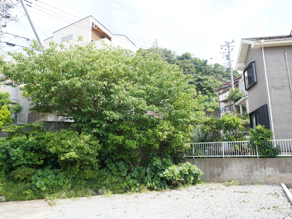 敷地内から撮影。もともとある植栽とその後ろに見える葉山の緑がいい感じ！