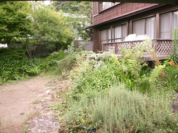 南向きの広い庭！ゆったりとした時間が流れていそう。