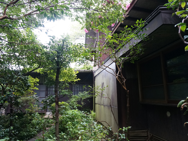 緑と共存しあう、建物。もののけ姫に出てくる森のような神聖さが漂う。本物だ！