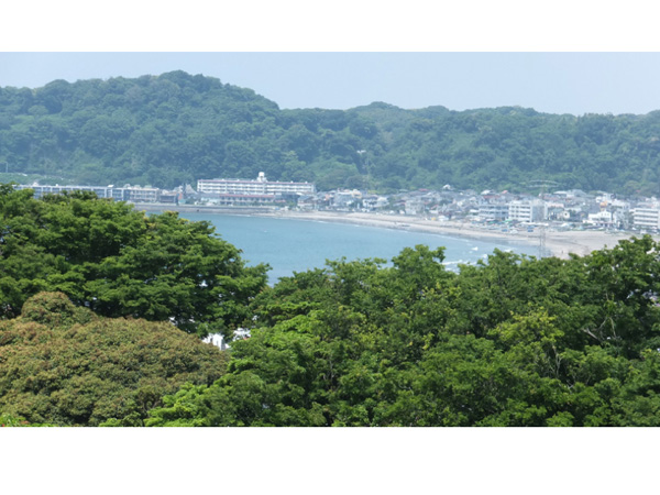 敷地内より由比ケ浜、稲村ガ崎方面を臨む