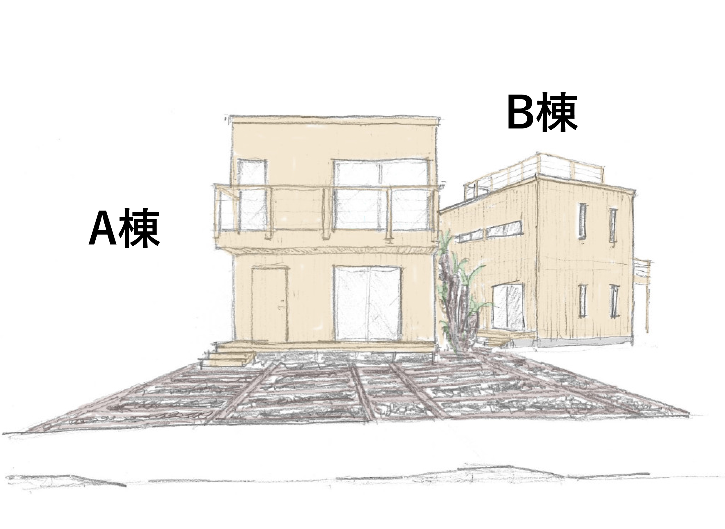 隣のB棟との位置関係。道路に面した大胆な前広感が気持ちいいです！